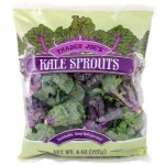52856-kale-sprouts